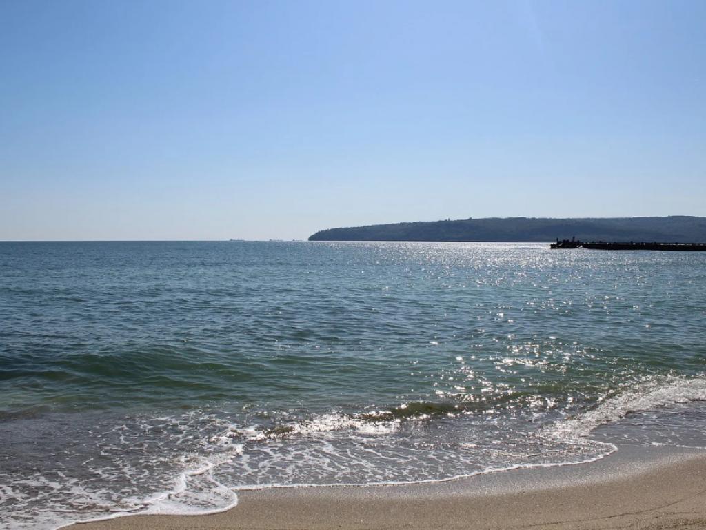 Екосистемата на Черно море е силно застрашена