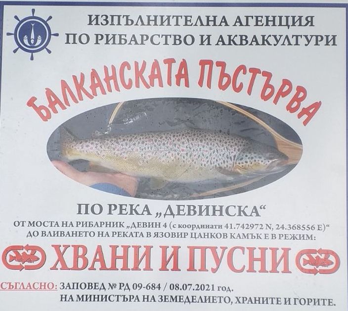 ЛРС