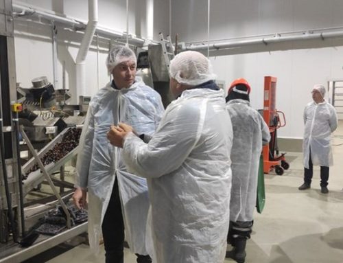 Заместник-министър Бурджев на срещи с производители и преработватели от сектор „Рибарство“
