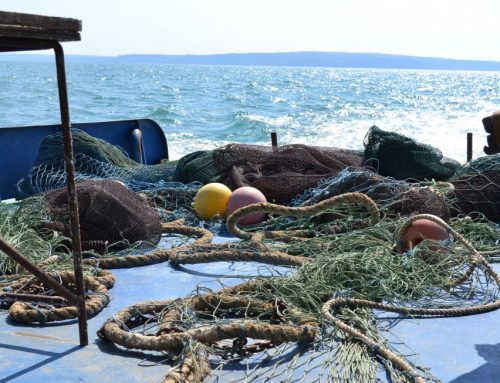 Изплащат над 1 млн. лв. по Програмата за морско дело и рибарство